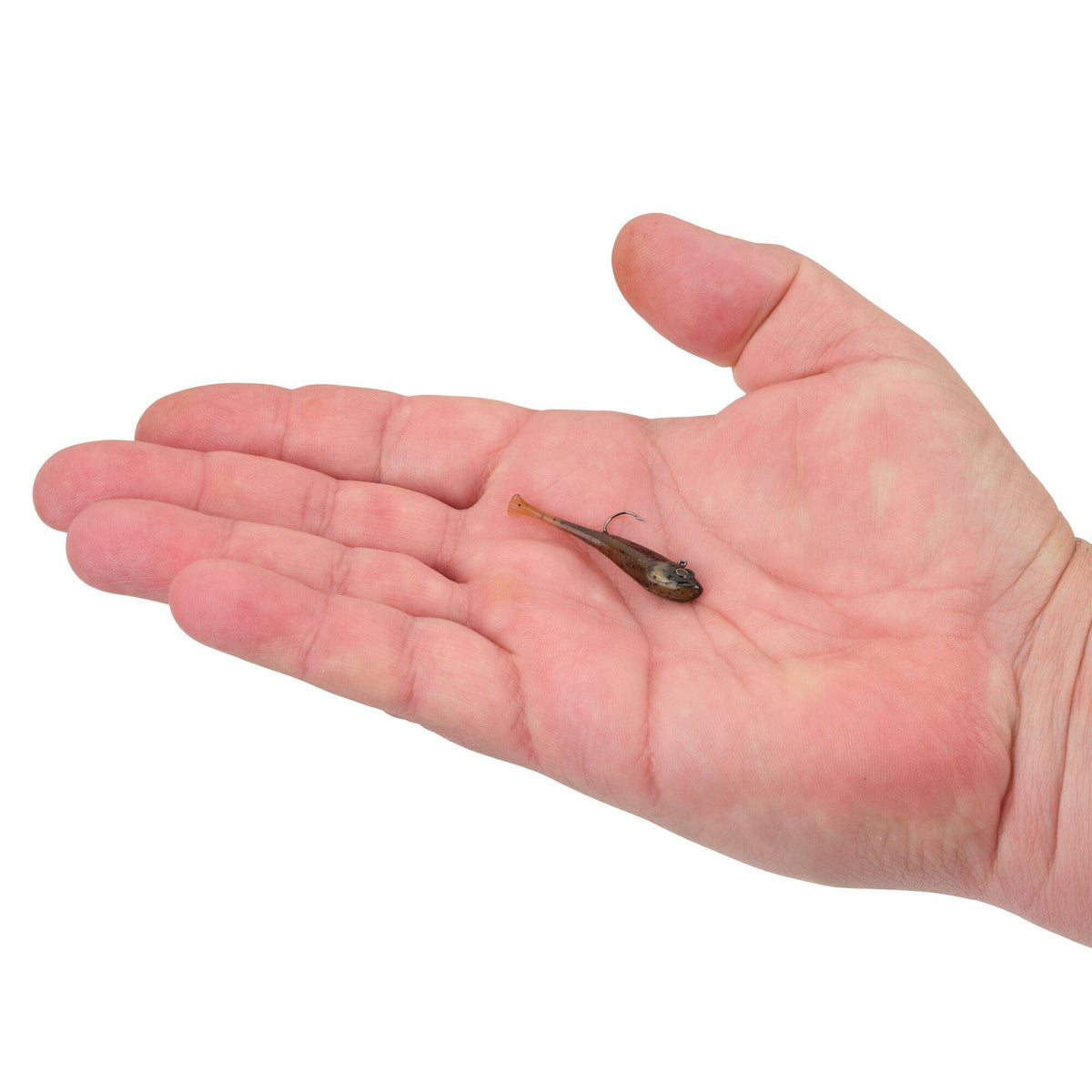 Berkley PowerBait® Power® Switch