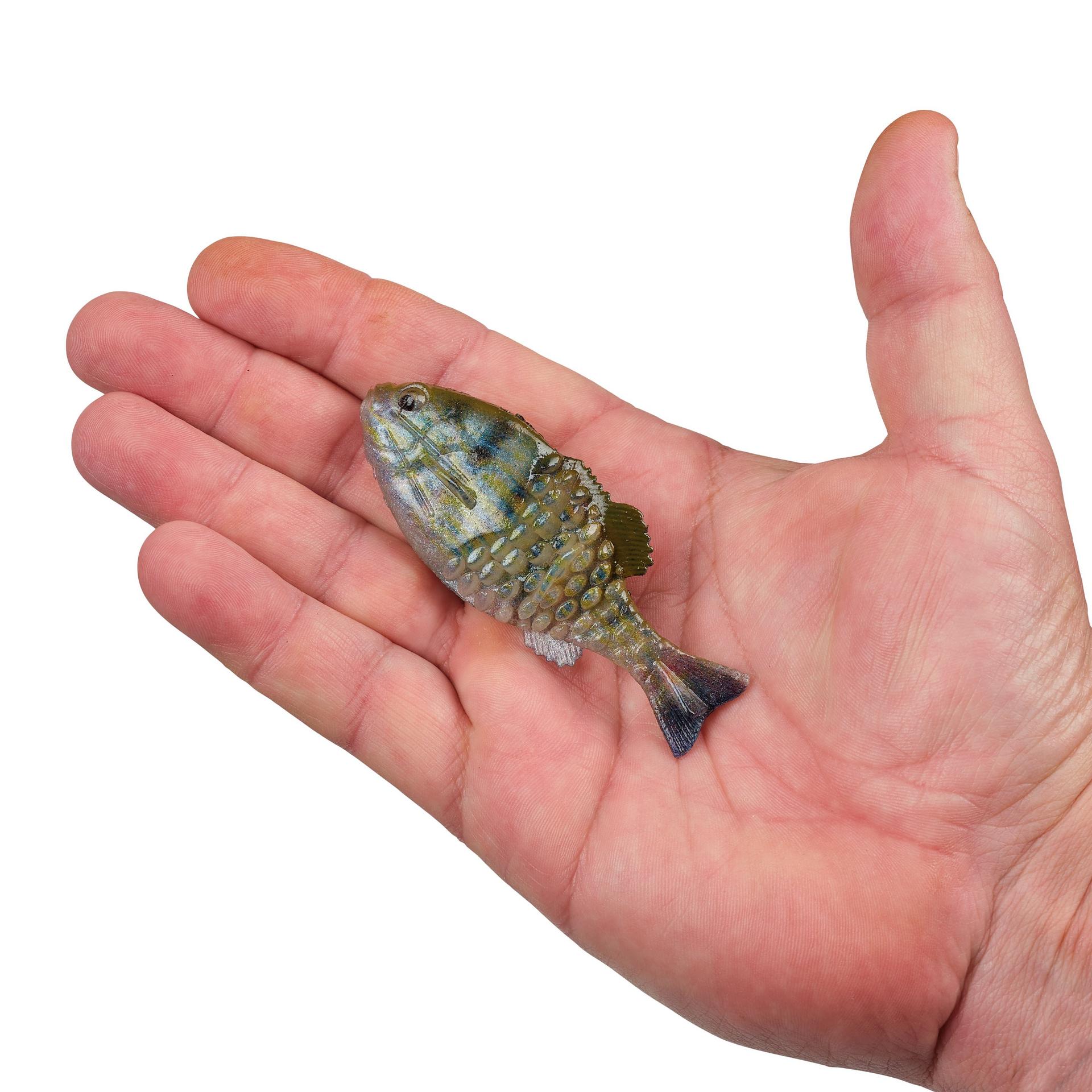 Berkley PowerBaitSaltwaterGilly 90 HDPinfish HAND | Berkley Fishing