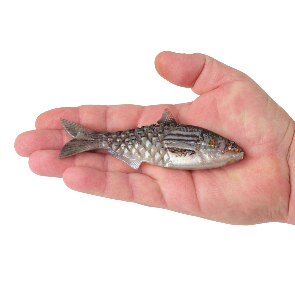 Berkley PowerBait® Saltwater Gillydine