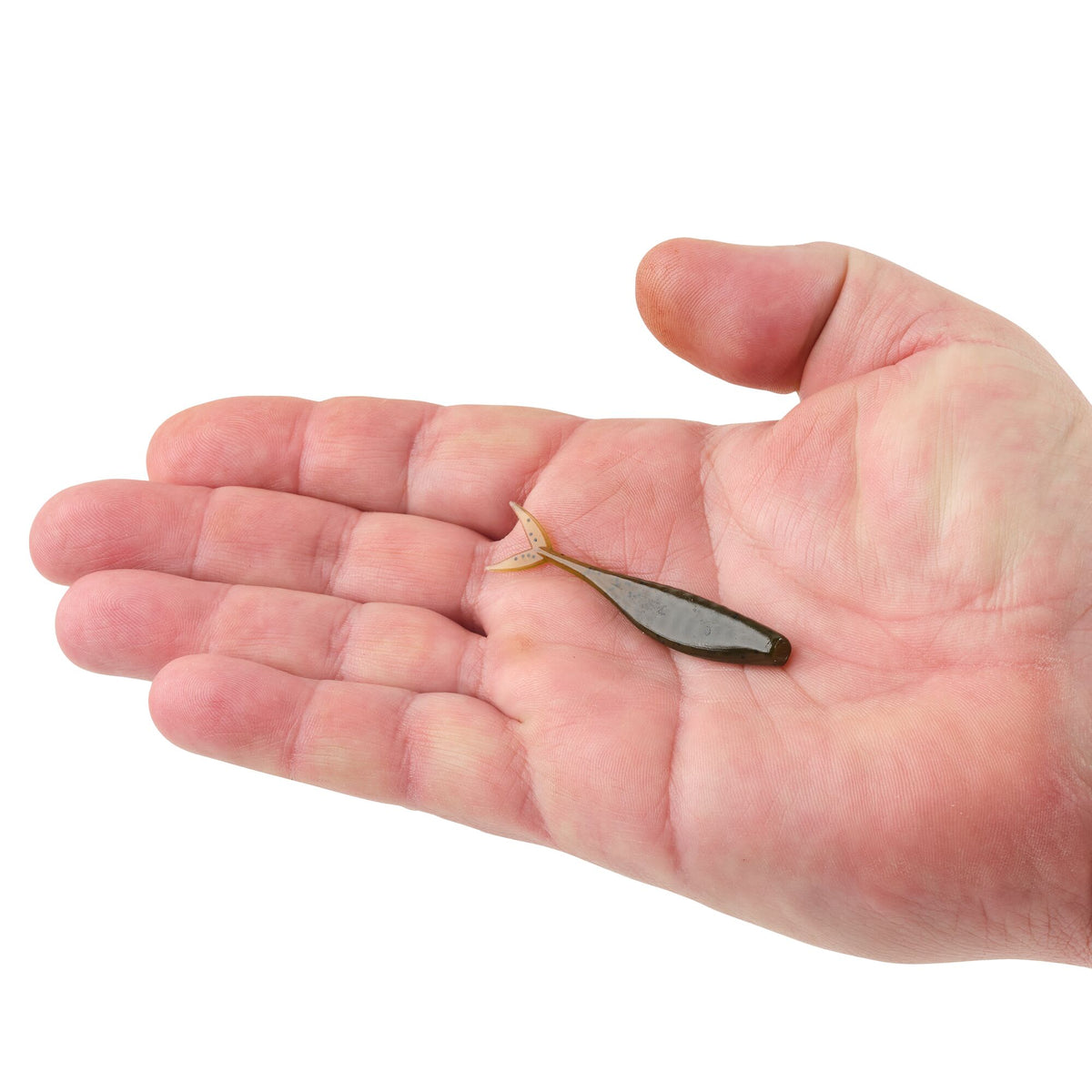 Berkley PowerBait® The Champ Minnow