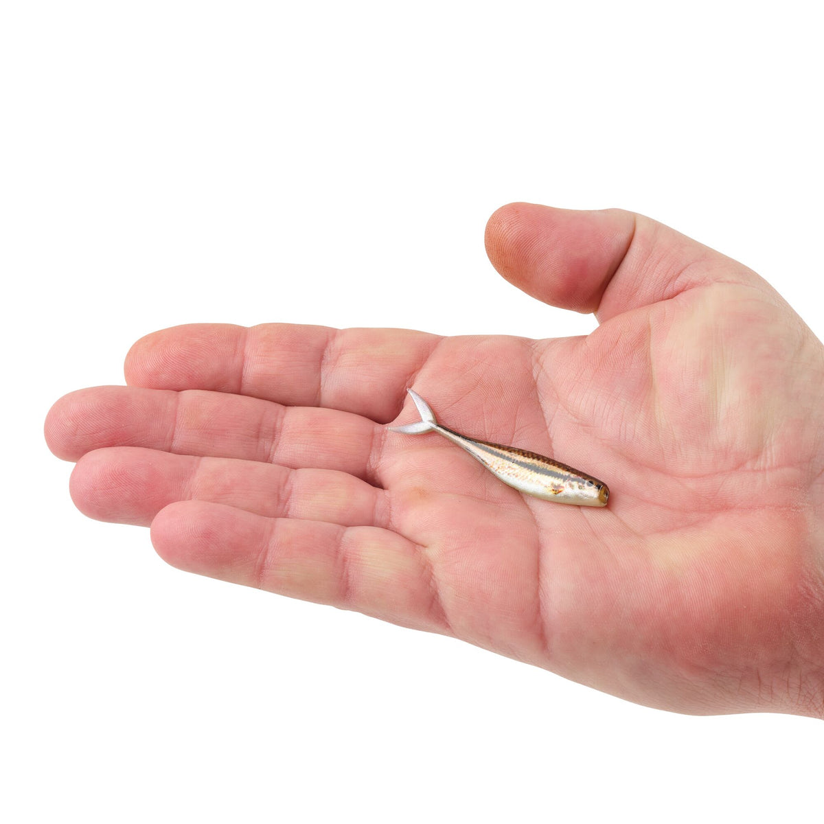 Berkley PowerBait® The Champ Minnow