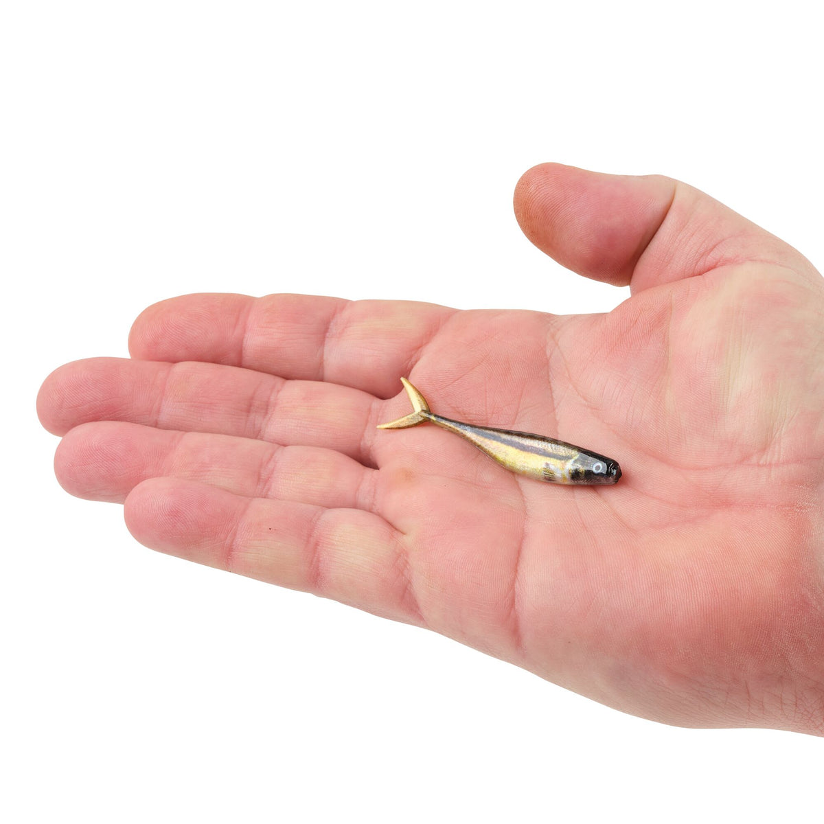 Berkley PowerBait® The Champ Minnow