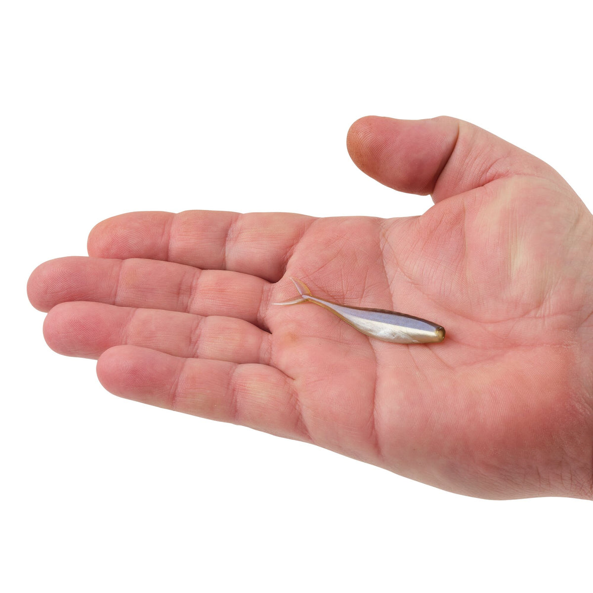 Berkley PowerBait® The Champ Minnow