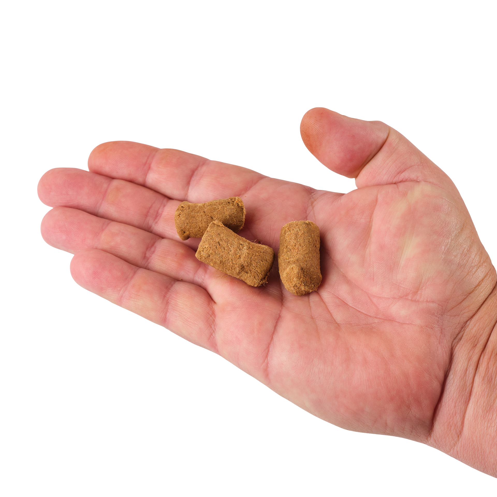 PowerBait® Catfish Bait Chunks
