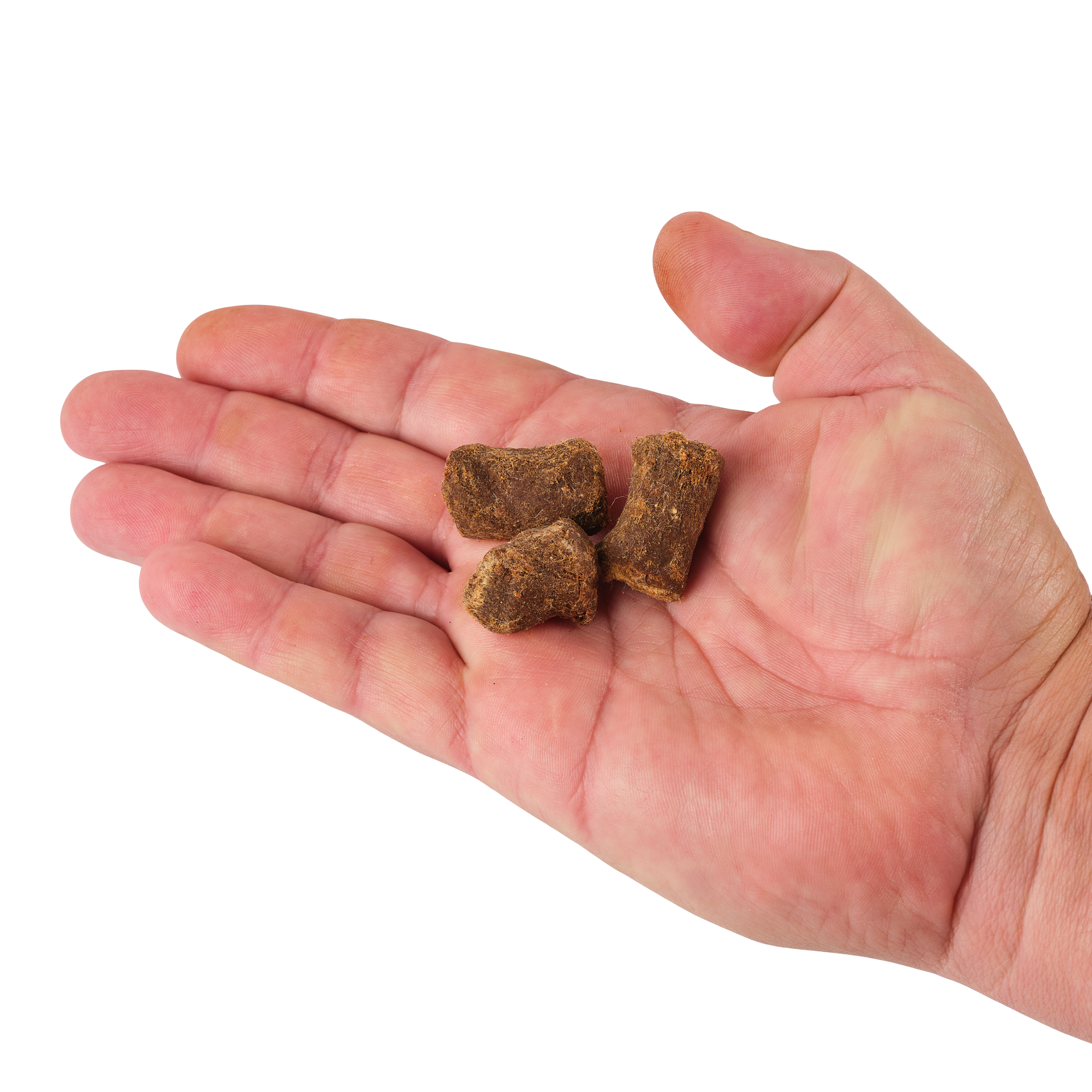 PowerBait® Catfish Bait Chunks
