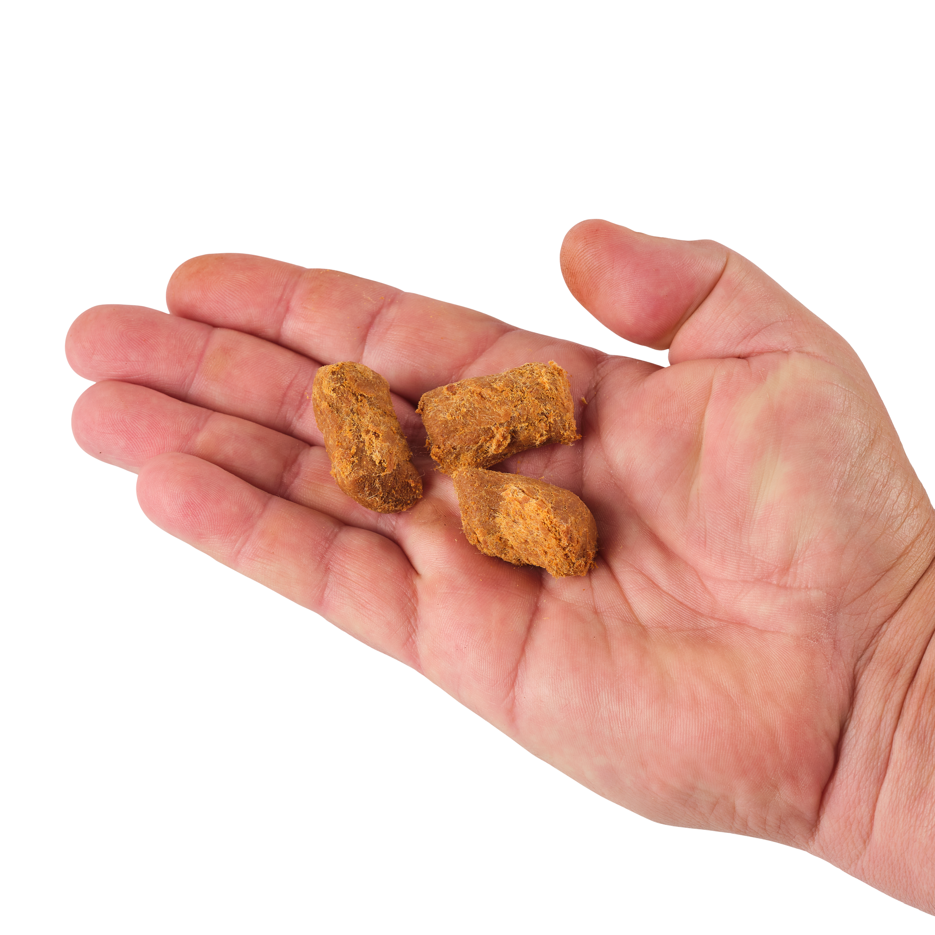PowerBait® Catfish Bait Chunks