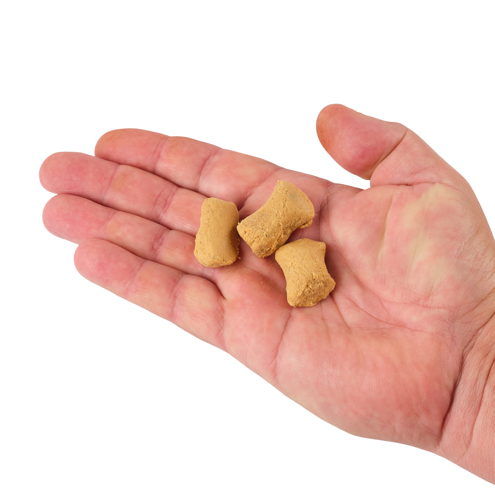 PowerBait® Catfish Bait Chunks