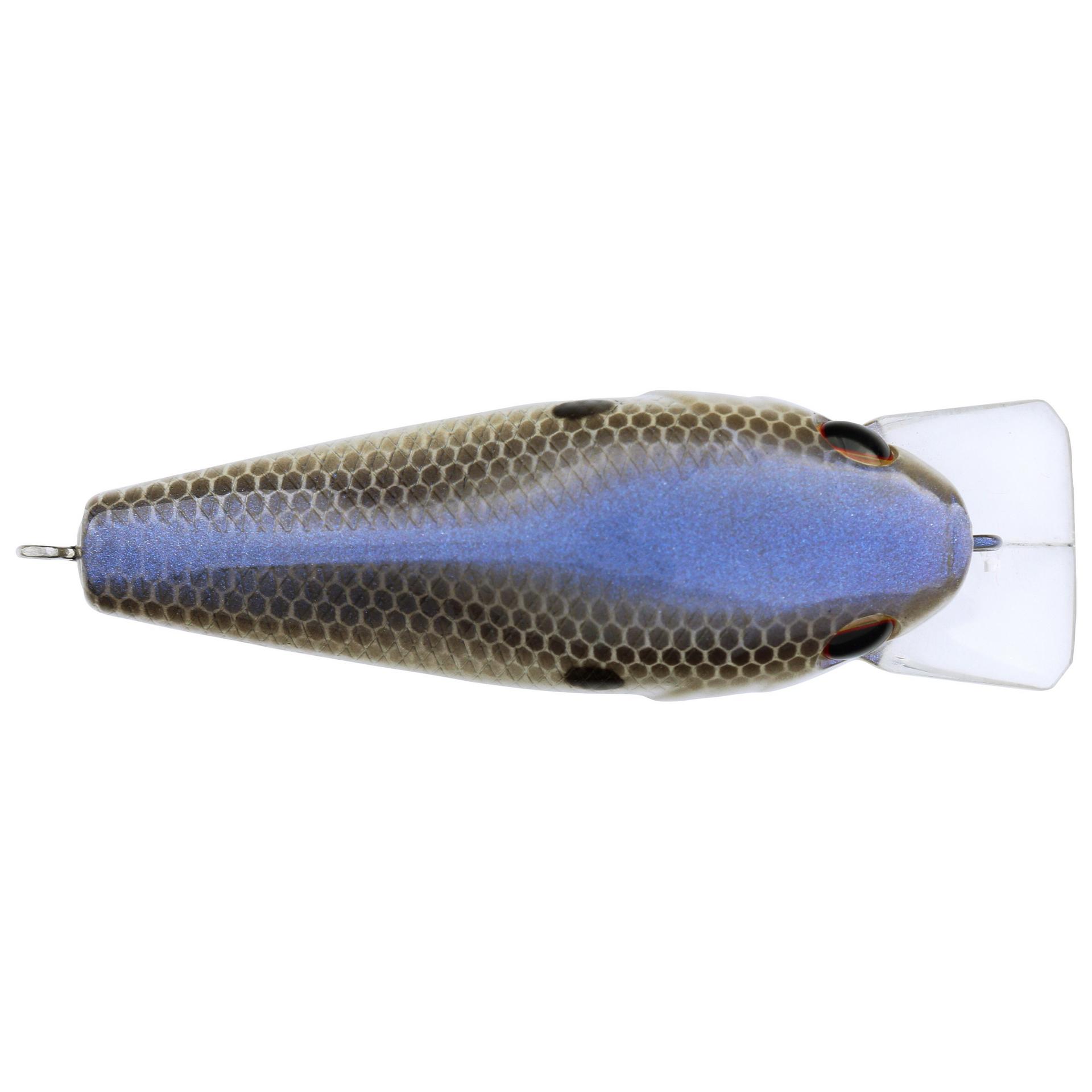 Berkley Squarebull BlueShad 35 alt3 | Berkley Fishing