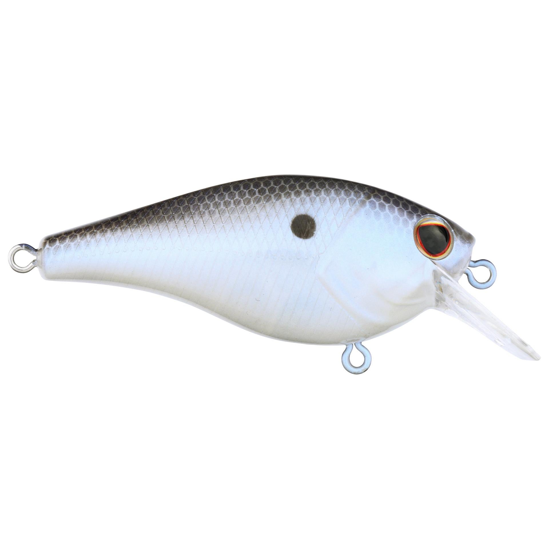 Berkley Squarebull BlueShad 55 alt1 | Berkley Fishing