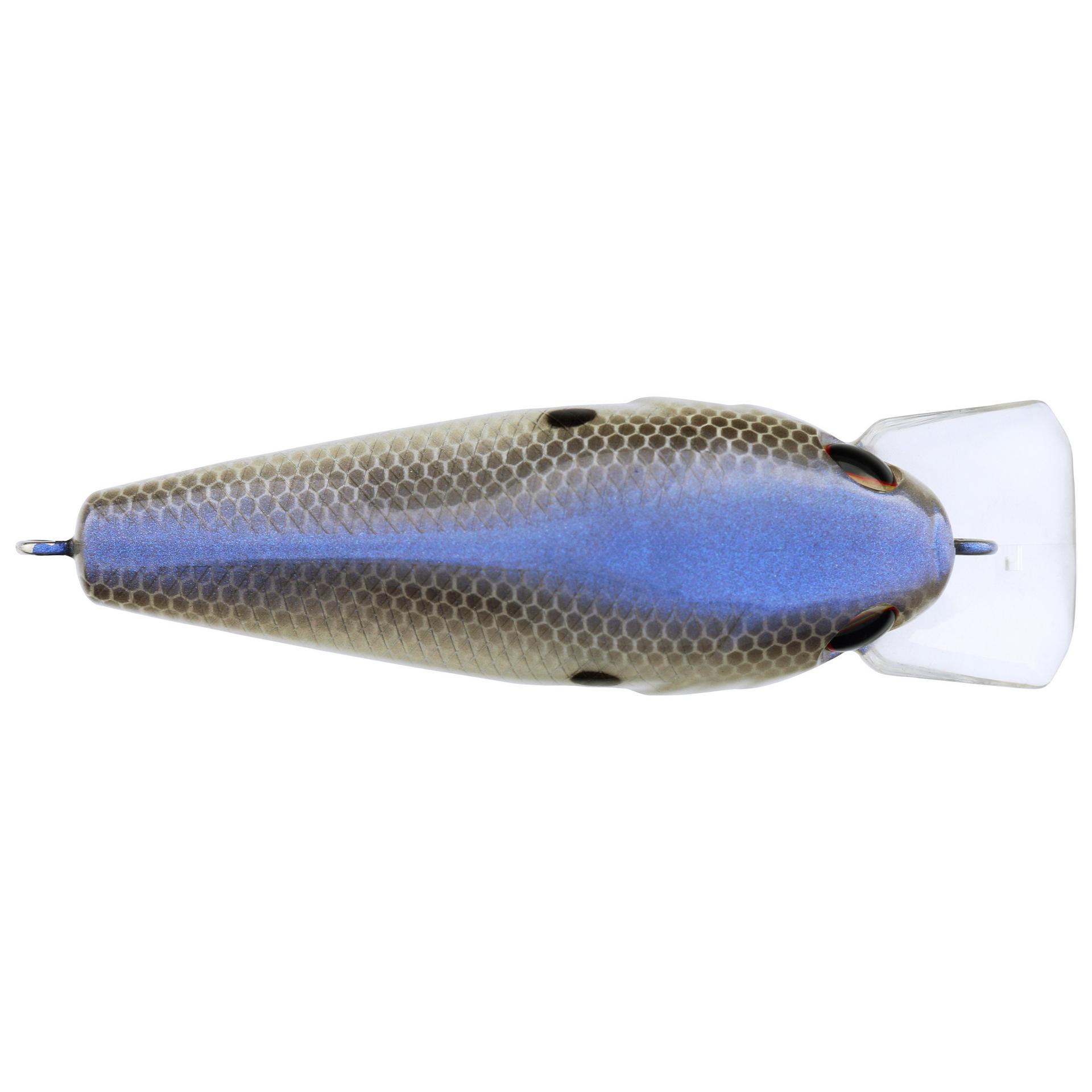 Berkley Squarebull BlueShad 55 alt3 | Berkley Fishing