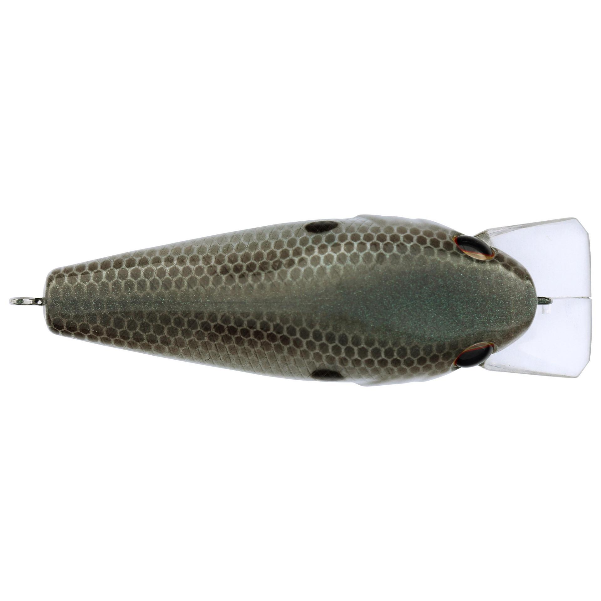 Berkley Squarebull GreenShad 35 alt3 | Berkley Fishing