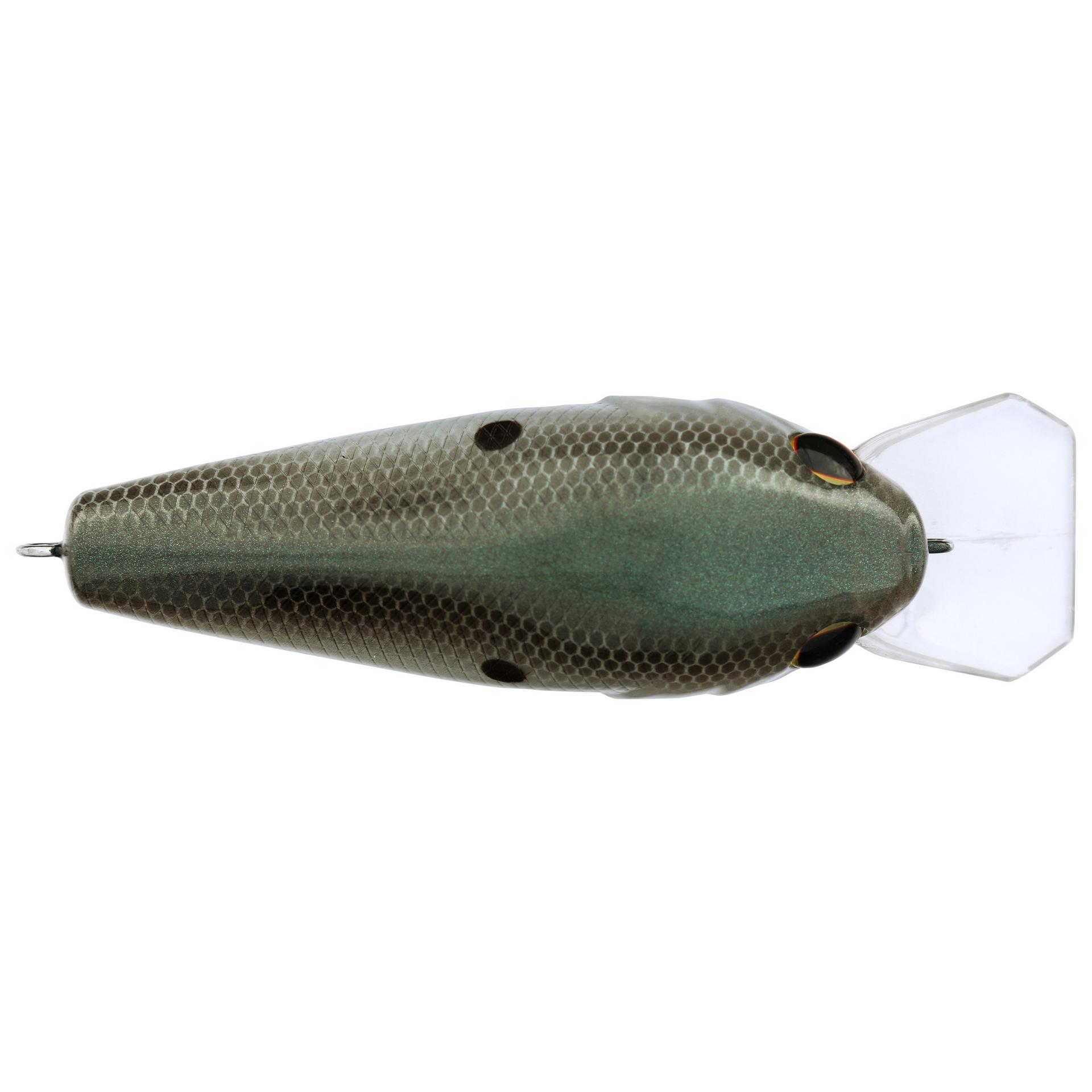 Berkley Squarebull GreenShad 75 alt3 | Berkley Fishing