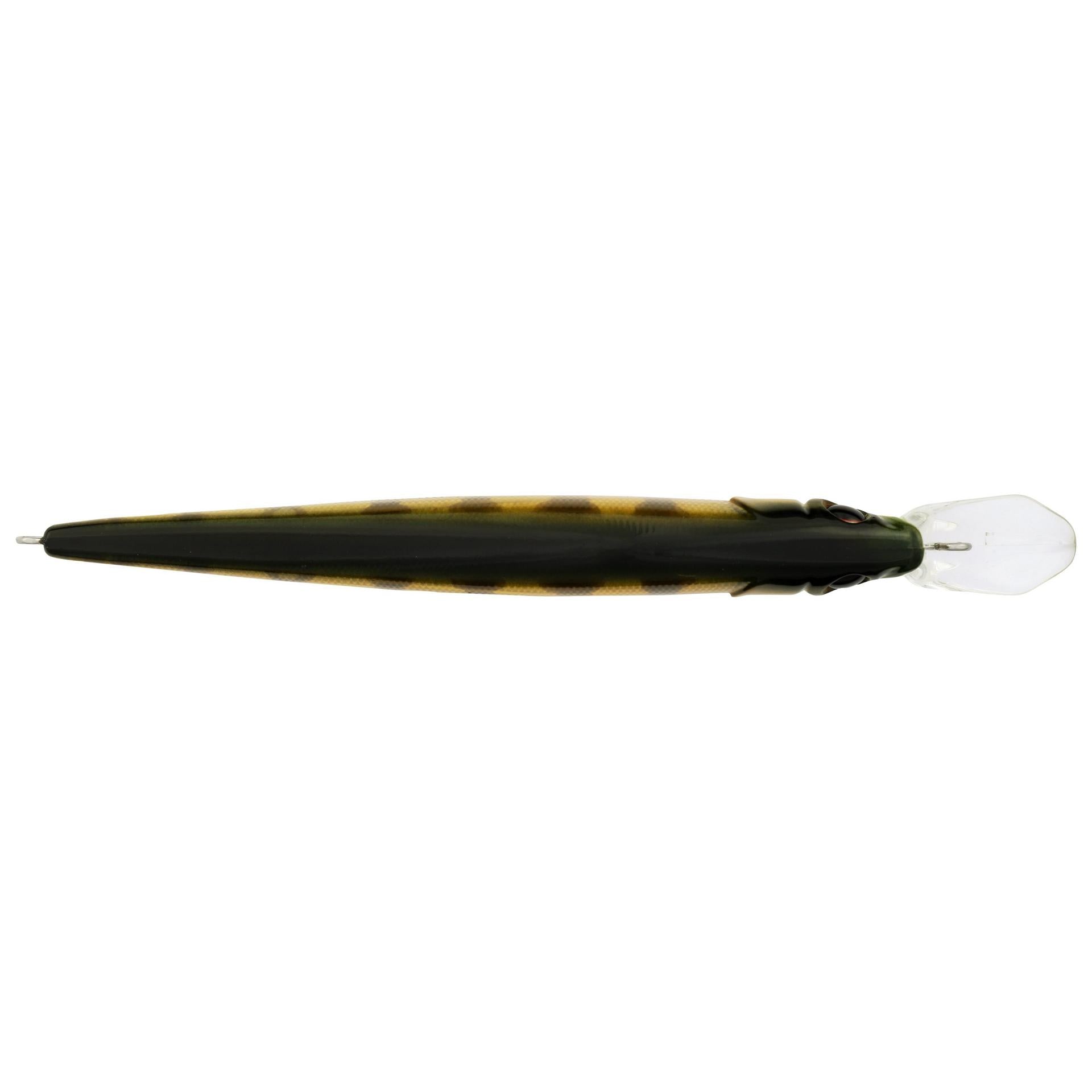 Berkley Stunna Perch 112P1 alt3 | Berkley Fishing