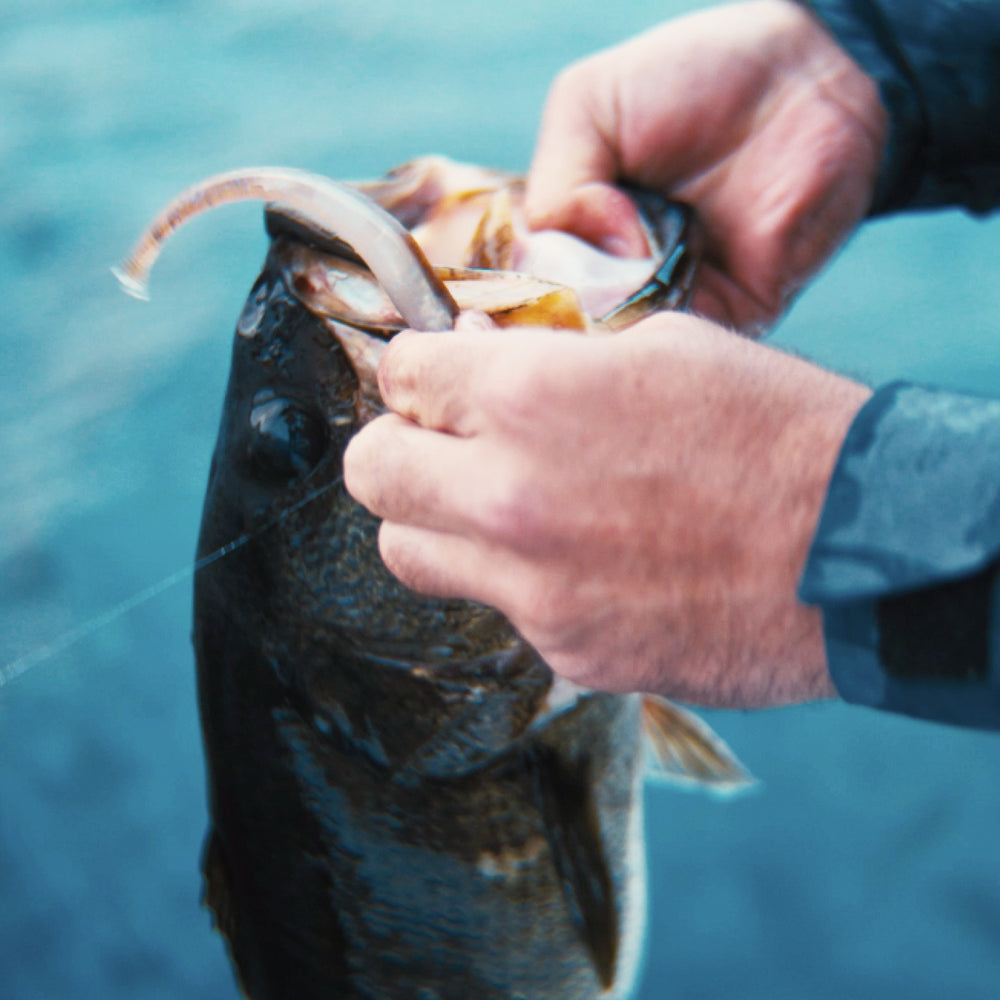 Person holding a fish with a hook against a blue water background