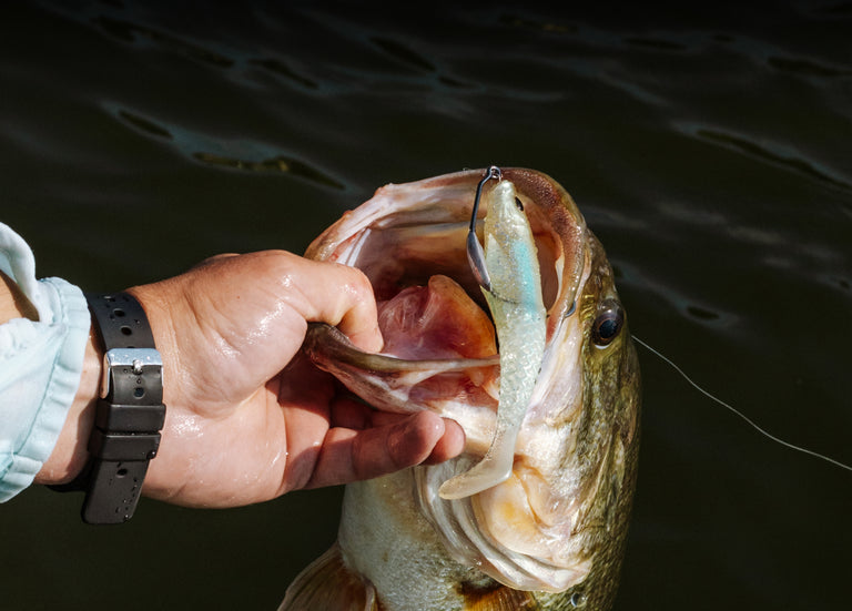 Berkley® US | Fishing Gear - Line, Bait, Tackle and Equipment