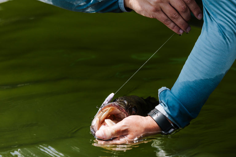 braided line trout fishing SF Fly Backing Line 30LB 100m/108yds Flour Yellow-N : Sports & Outdoors Unleash your inner angler with the Phenix Ironfeather Fiber Elite Braided Line Trout fishing with lure, which