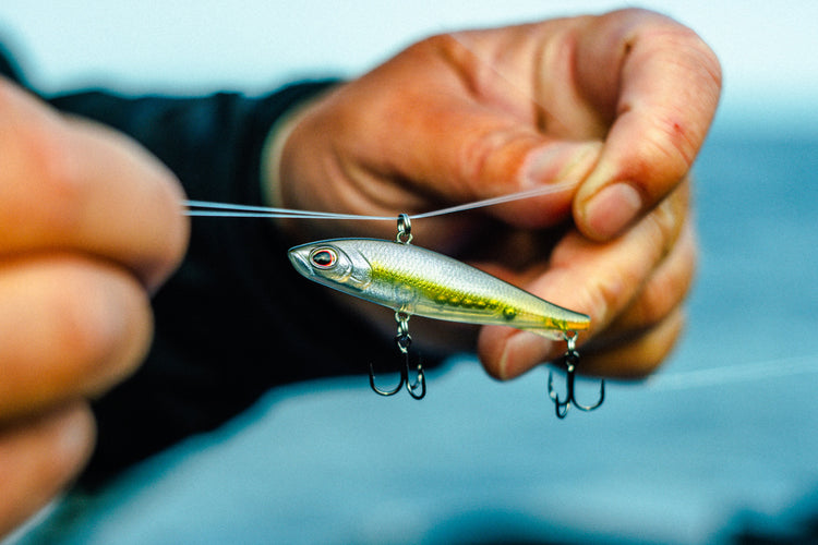 Berkley® US| New Rawler & Ripfish Launch