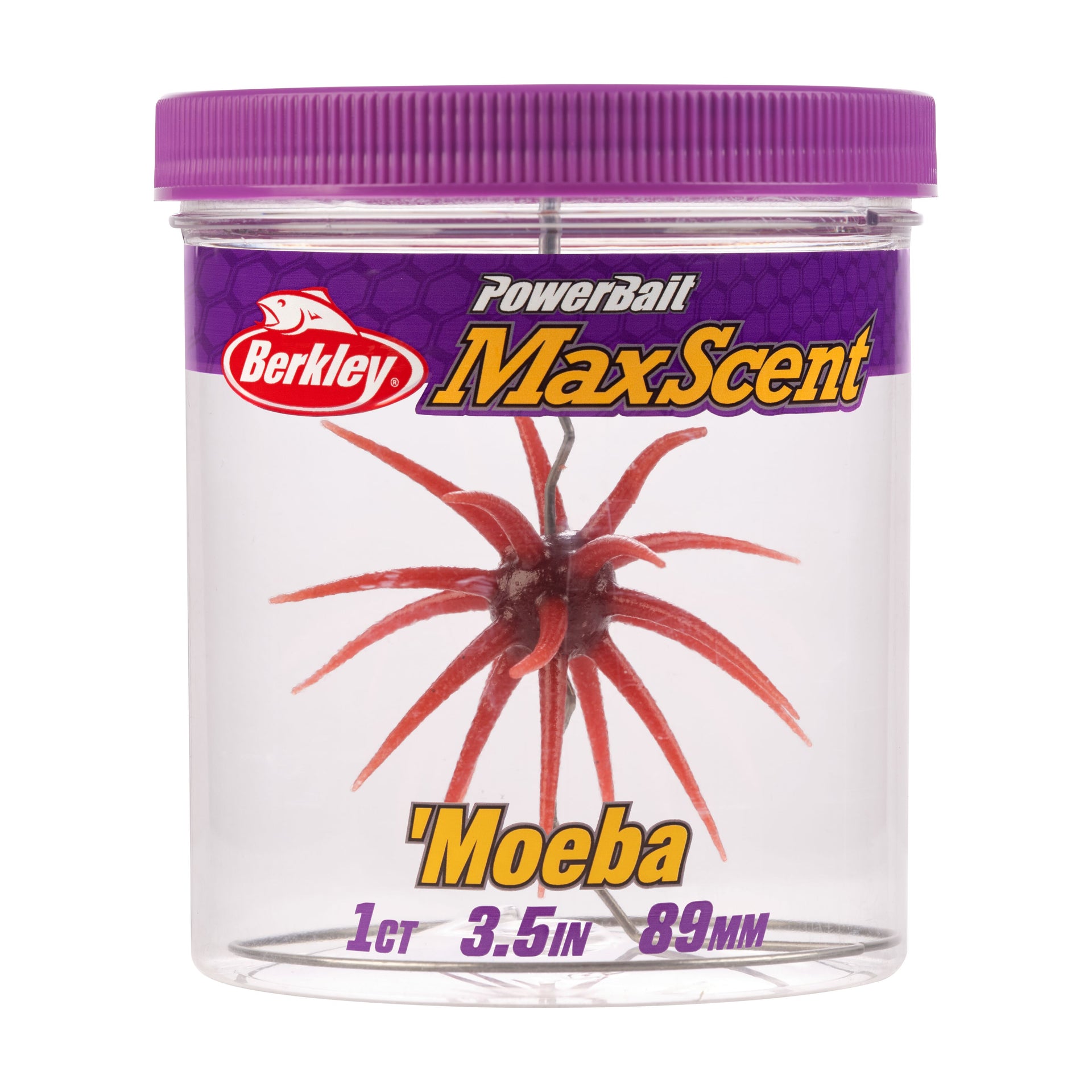 Berkley PowerBait MaxScent Moeba fishing lure in a jar with purple lid on a white background