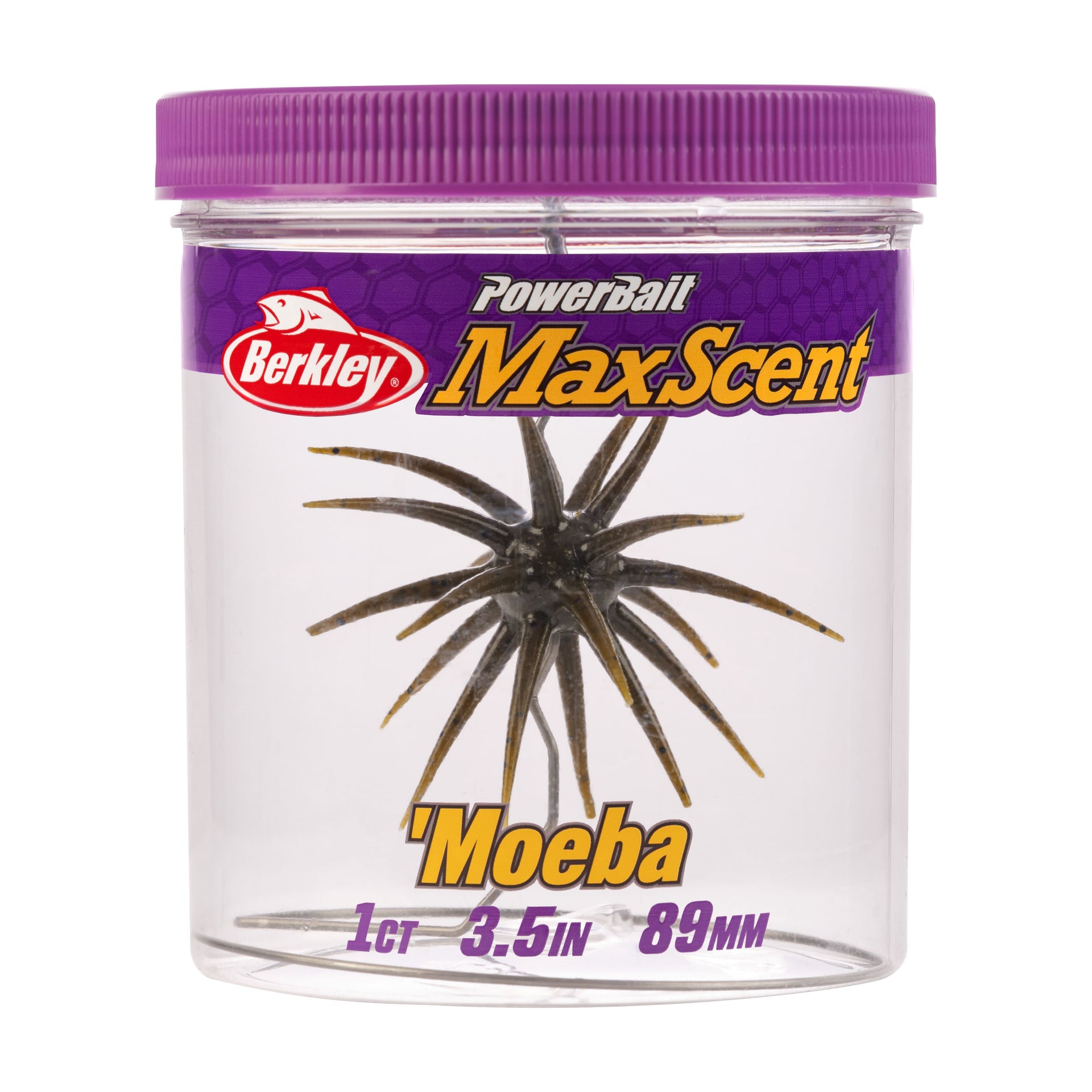 Berkley PowerBait MaxScent Moeba fishing lure in a clear container with purple lid on a white background