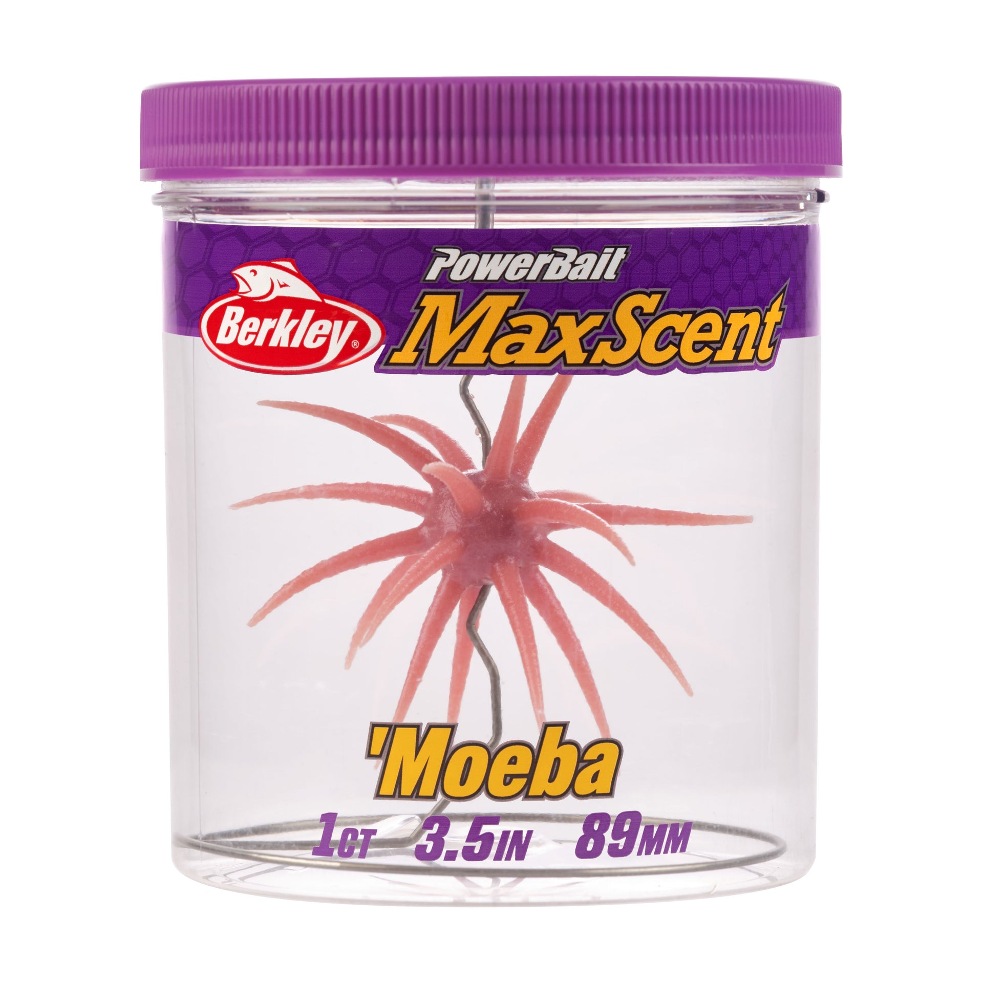 Berkley Powerbait MaxScent 'Moeba' fishing lure in a clear container with a purple lid on a white background.