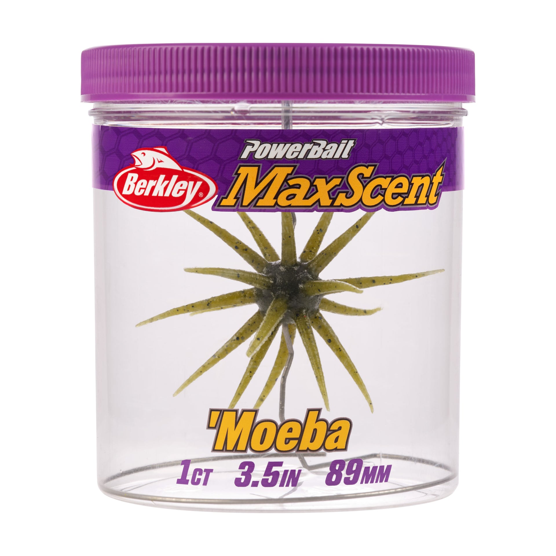 Berkley PowerBait MaxScent Moeba fishing lure in a clear container with purple lid on a white background