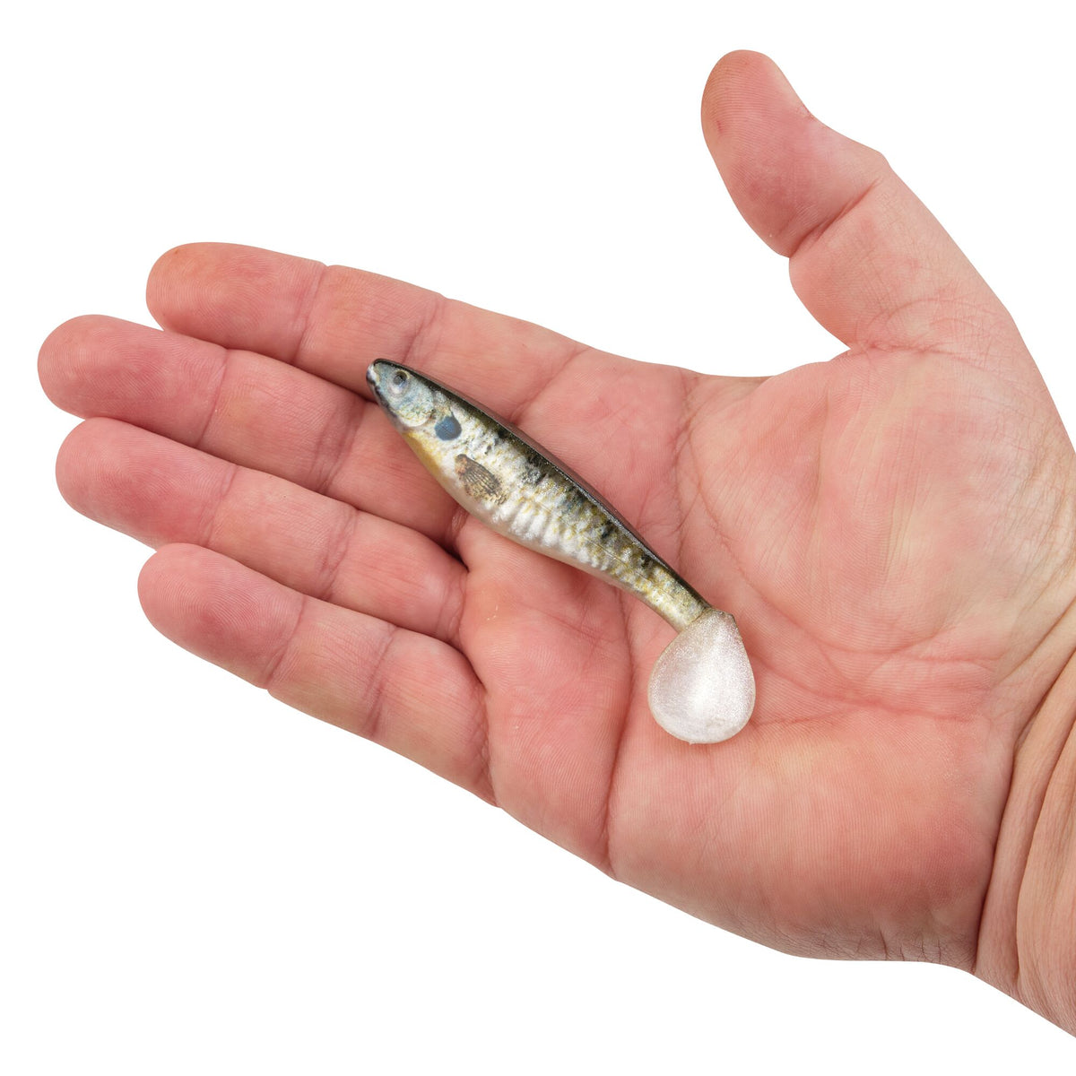 Berkley PowerBait® The Champ Swimmer