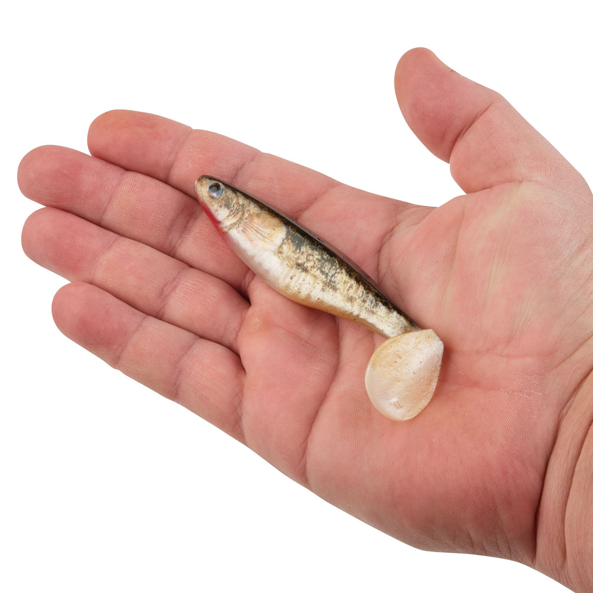 Berkley PowerBait® The Champ Swimmer