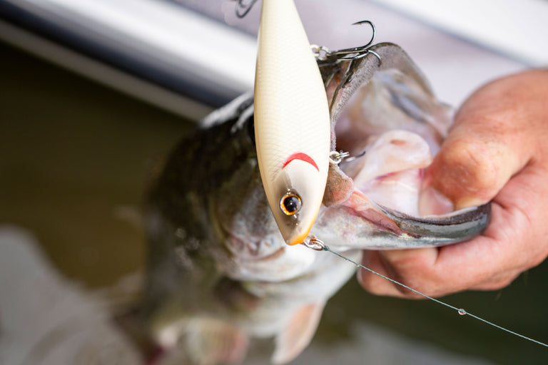 Improve Your Fishing Techniques | Berkley Fishing Improve Your Fishing Techniques | Berkley Fishing