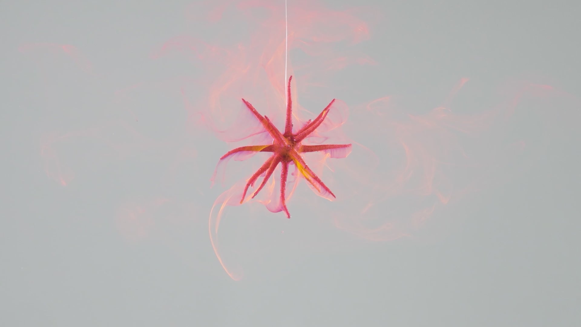video showing fishing bait scent dispersion