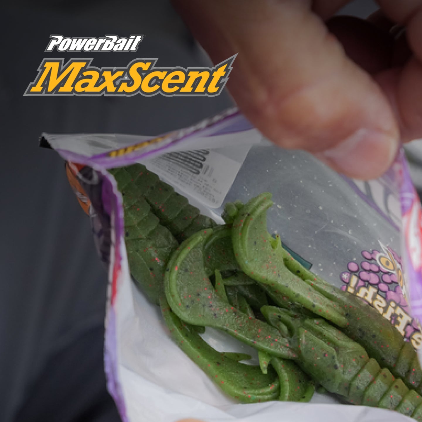 Hand holding a package of PowerBait MaxScent fishing lures.