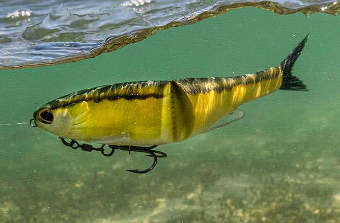 Soft Bait